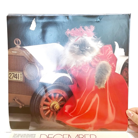 Vintage 1989 Calendar Pictures of Cats Dressed Up in Clothes Kitty Cute Kitten - Picture 12 of 16